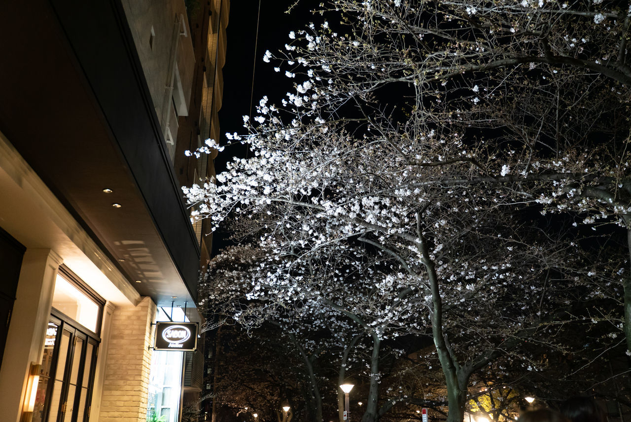 f:id:TAKAPPRS:20200322121309j:plain