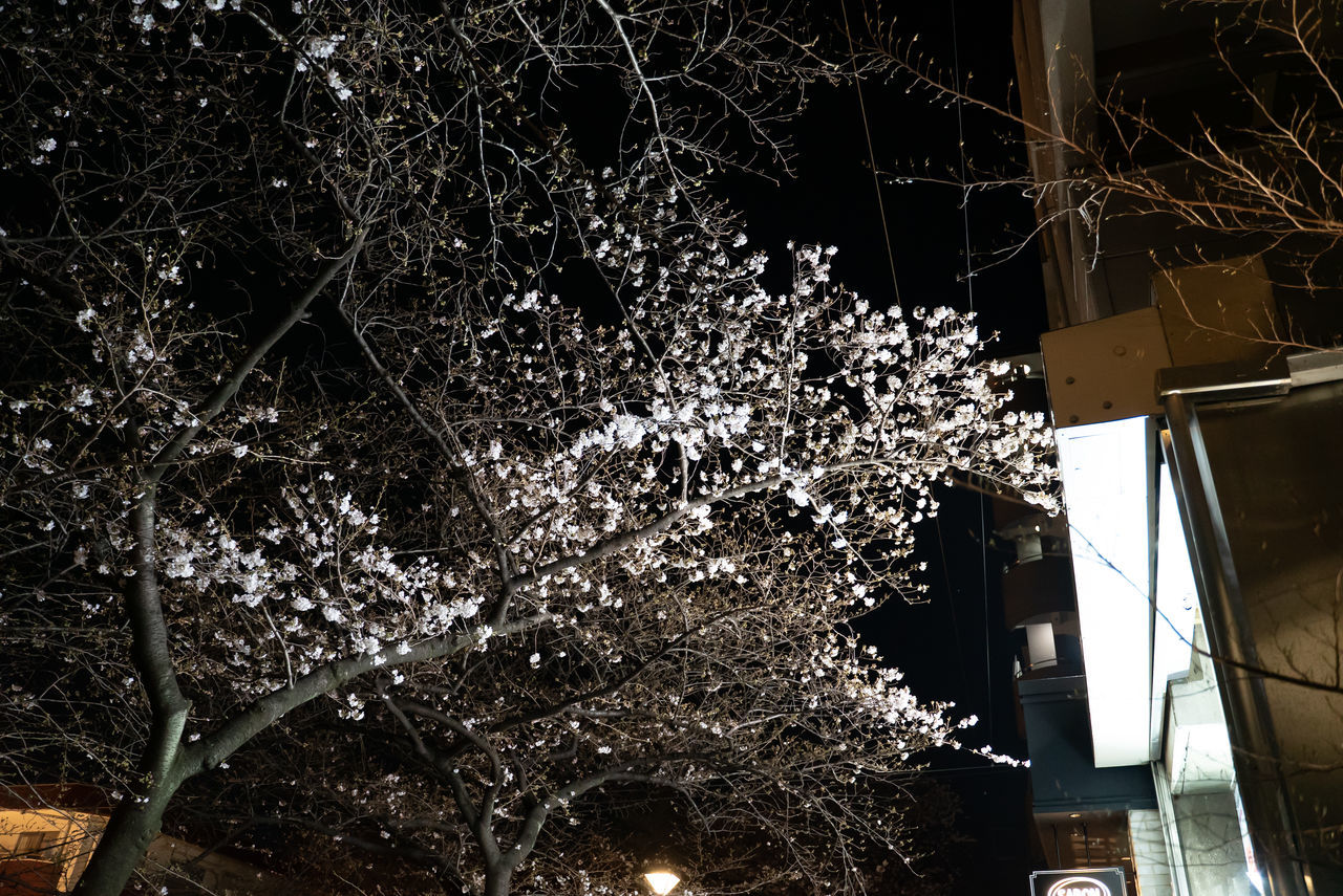 f:id:TAKAPPRS:20200322121322j:plain