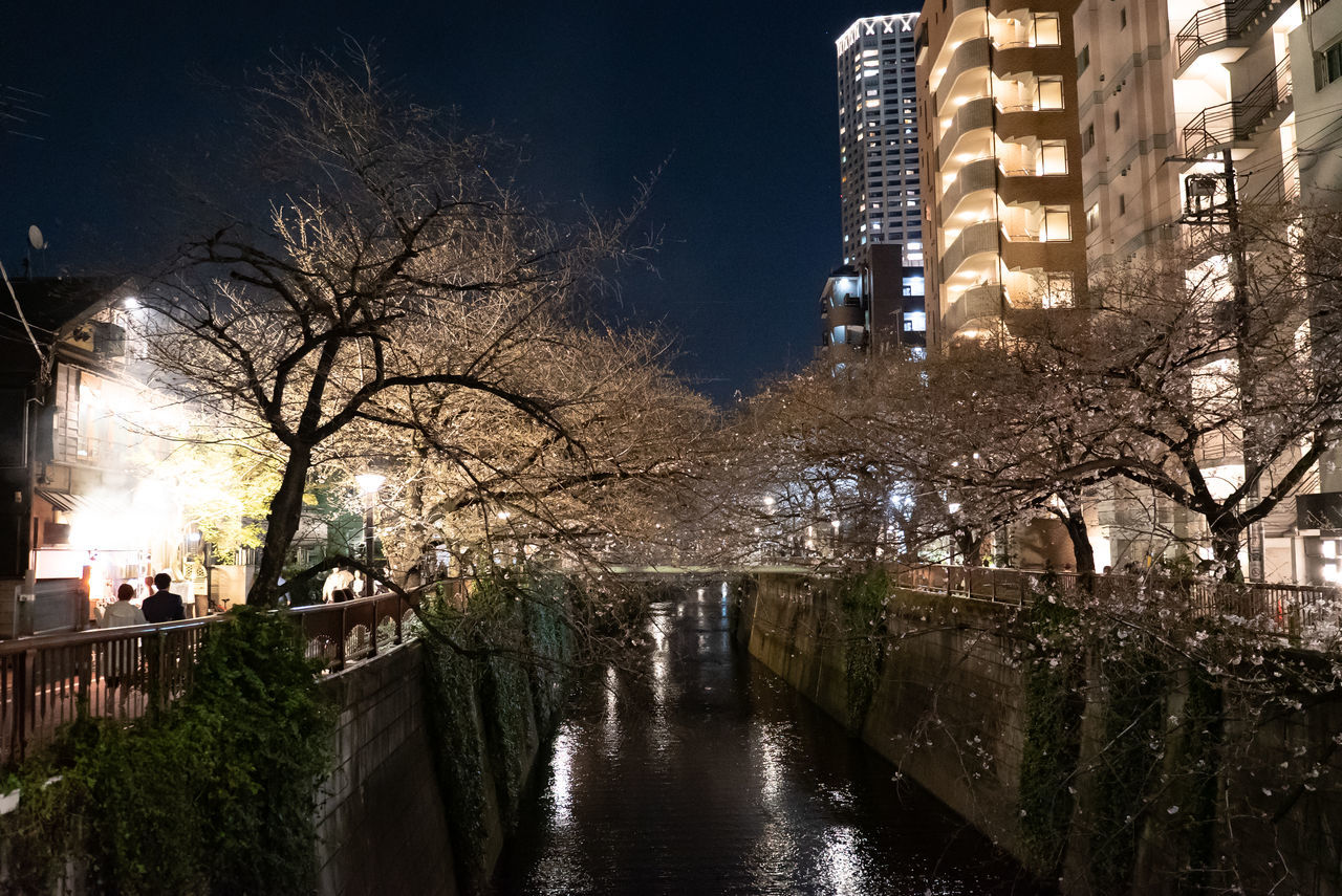 f:id:TAKAPPRS:20200322121351j:plain