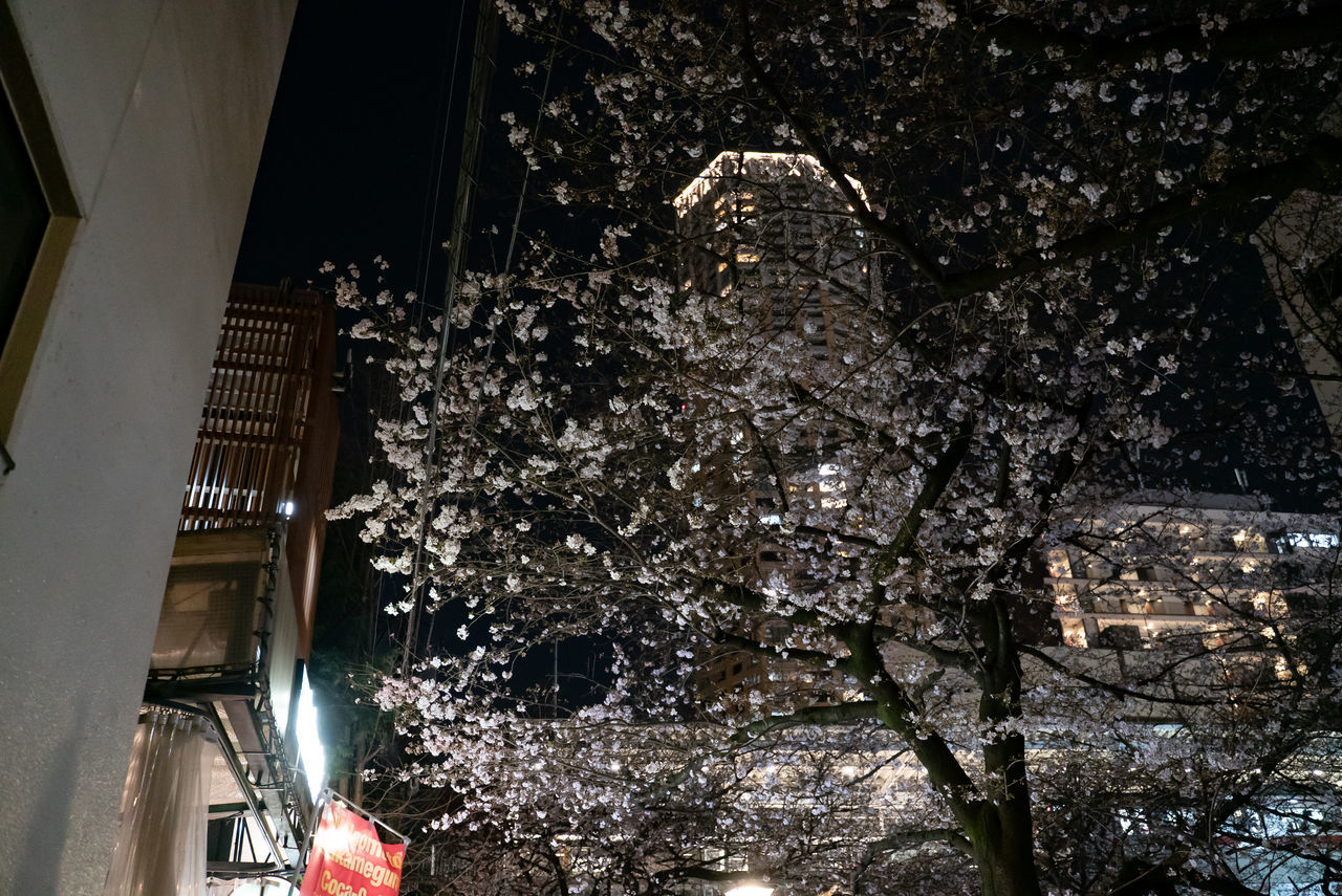 f:id:TAKAPPRS:20200322121428j:plain