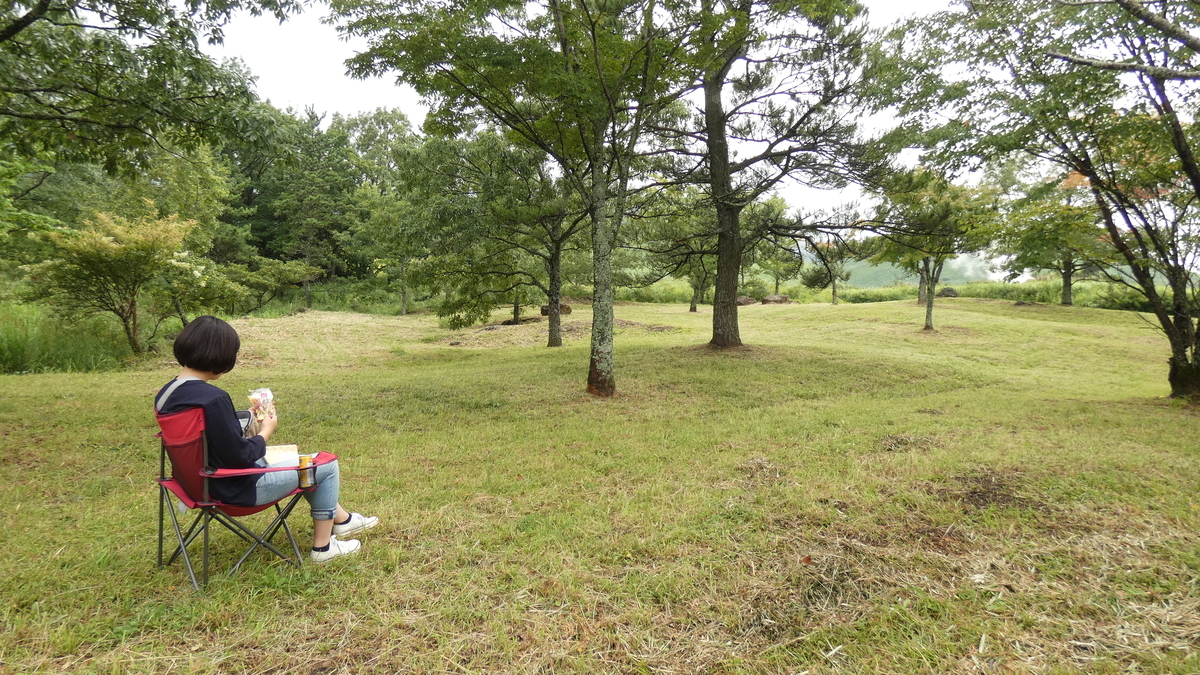 f:id:TAKETACHANNEL:20191101073945j:plain