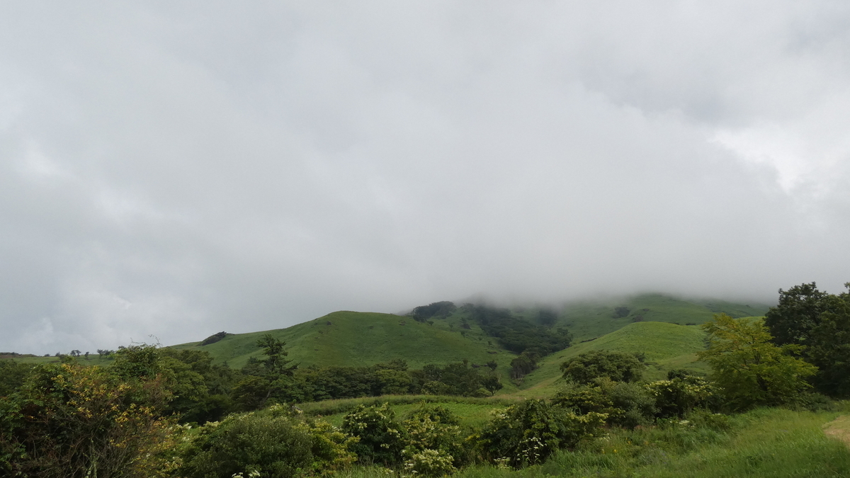 f:id:TAKETACHANNEL:20191101074041j:plain