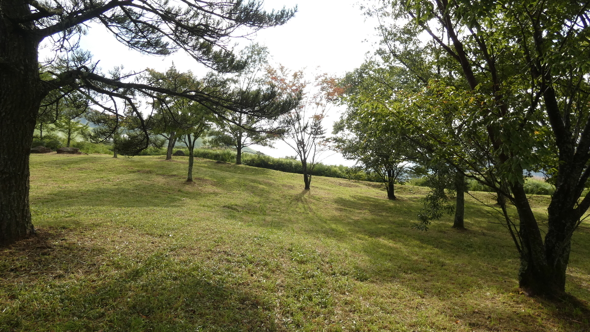 f:id:TAKETACHANNEL:20191101074618j:plain