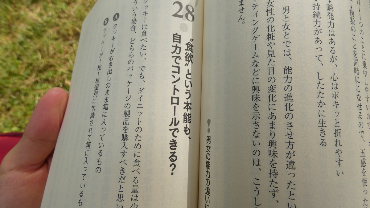 f:id:TAKETACHANNEL:20191101074818j:plain