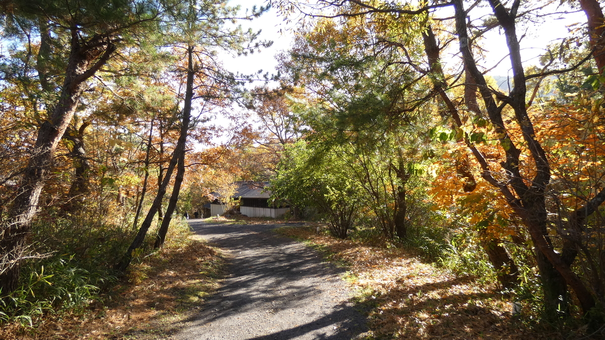 f:id:TAKETACHANNEL:20191118151648j:plain