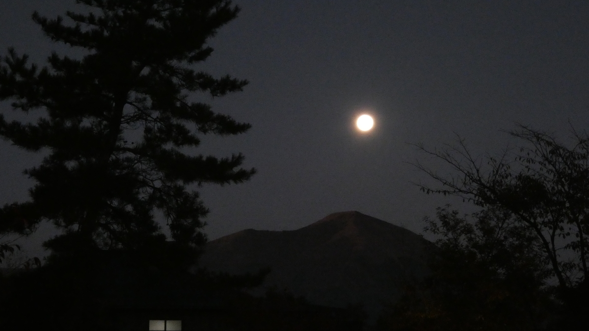 f:id:TAKETACHANNEL:20191118161905j:plain