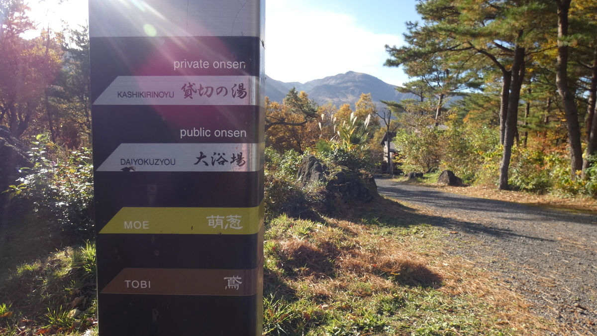 f:id:TAKETACHANNEL:20191118163518j:plain