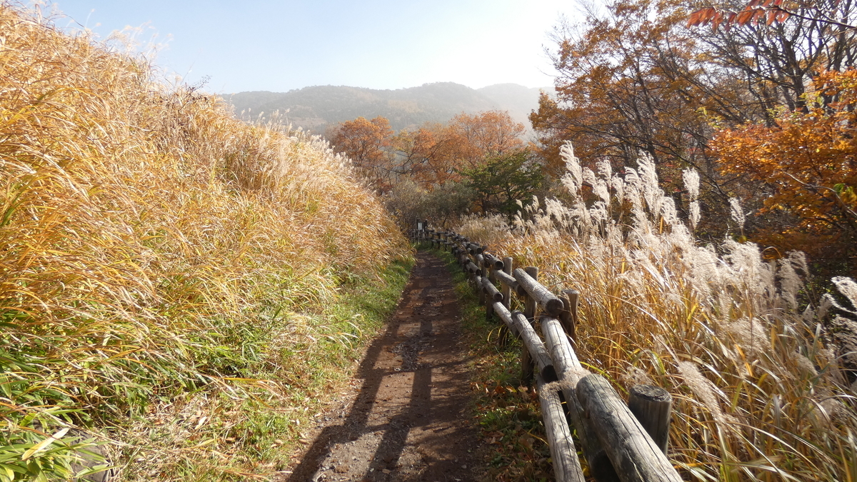 f:id:TAKETACHANNEL:20191121102230j:plain f:id:TAKETACHANNEL:20191121102230j:plain