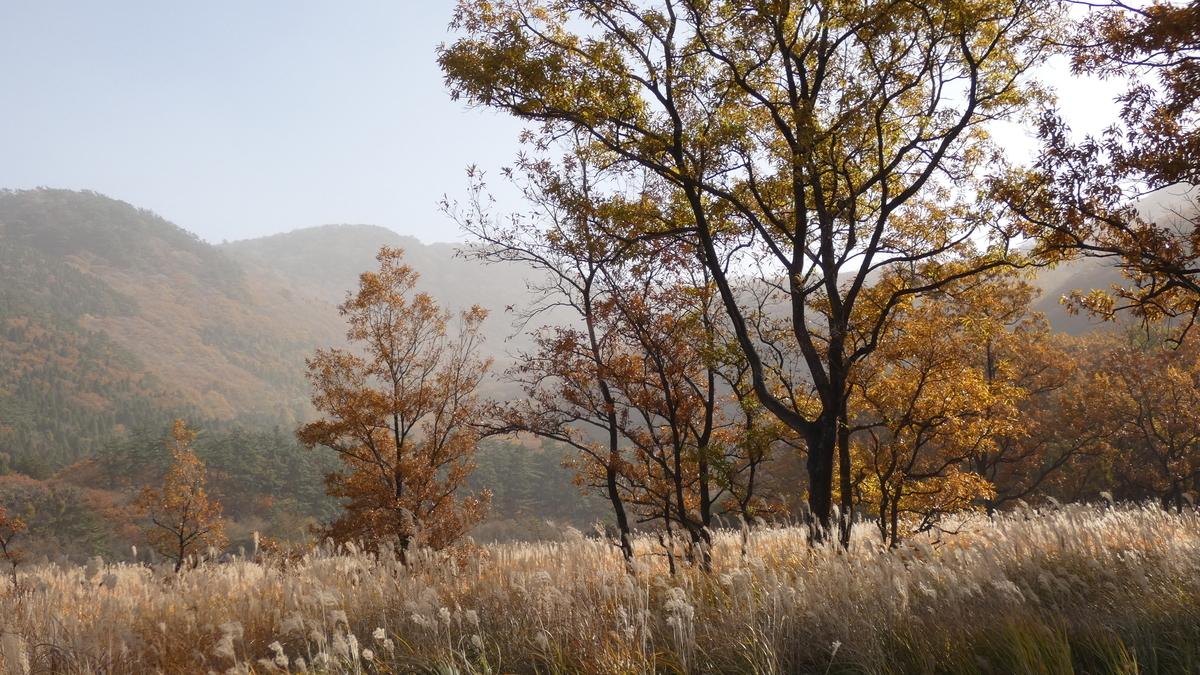 f:id:TAKETACHANNEL:20191121155725j:plain f:id:TAKETACHANNEL:20191121155725j:plain