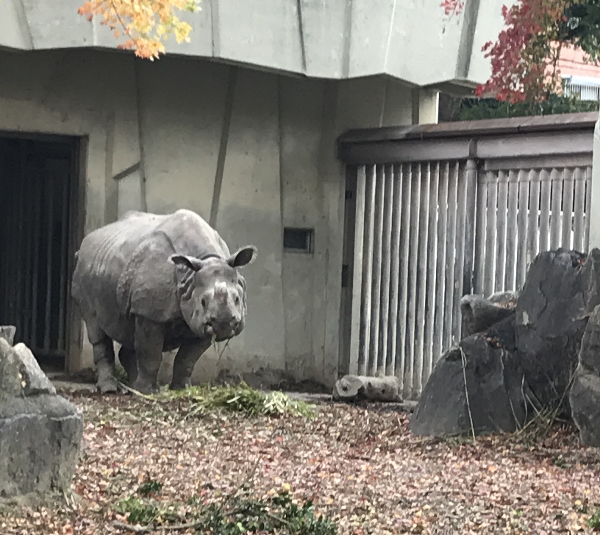 f:id:TAKETACHANNEL:20191204075914j:plain