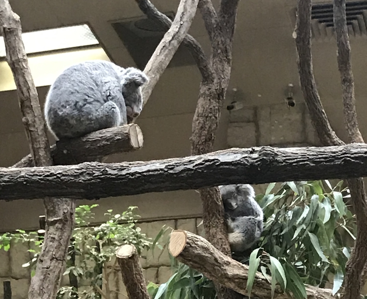 f:id:TAKETACHANNEL:20191204075932j:plain