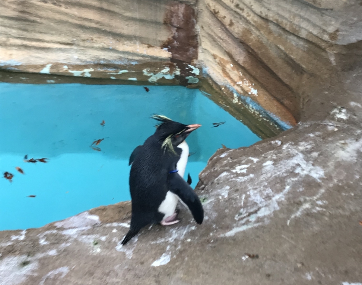 f:id:TAKETACHANNEL:20191204080106j:plain