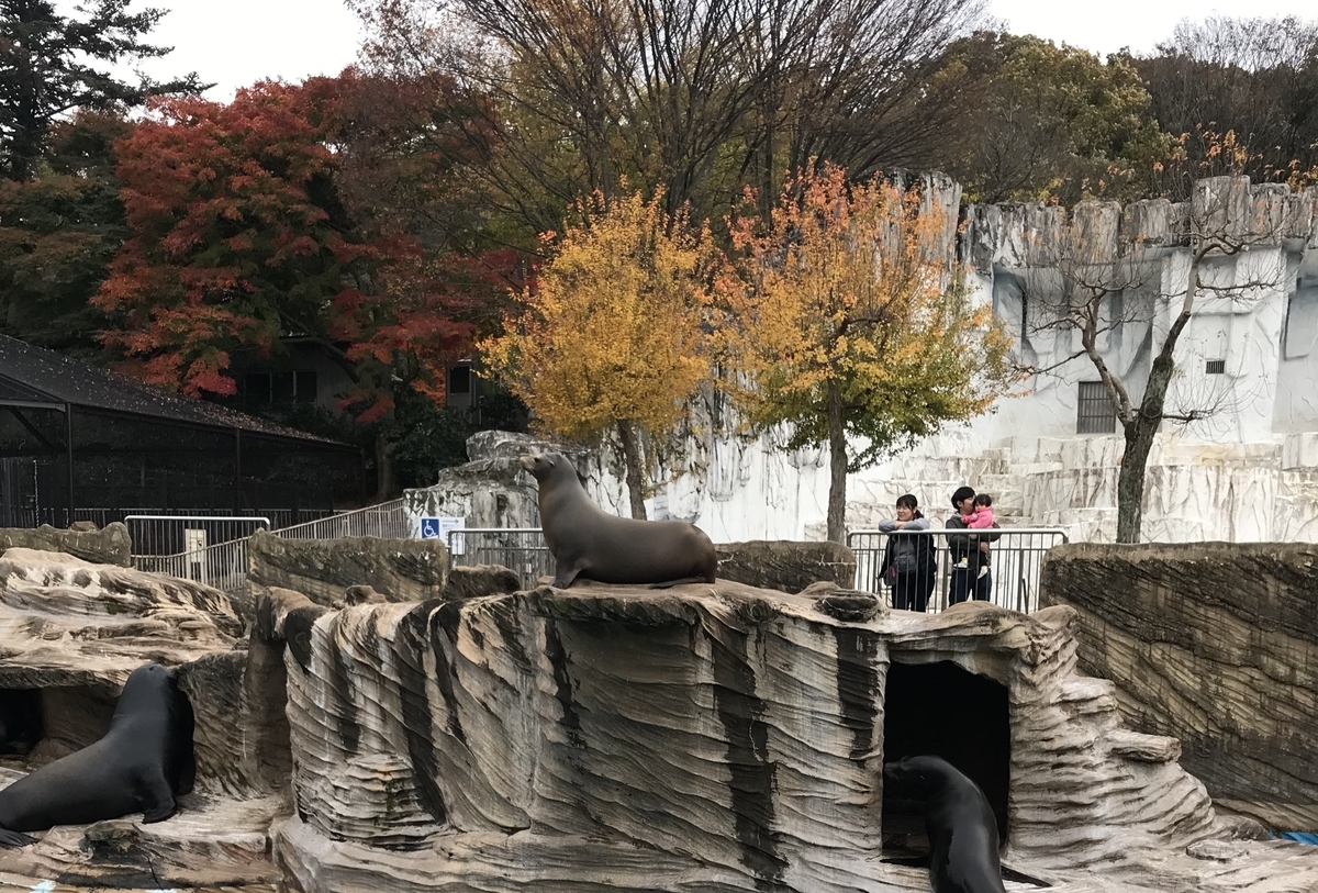 f:id:TAKETACHANNEL:20191204080123j:plain