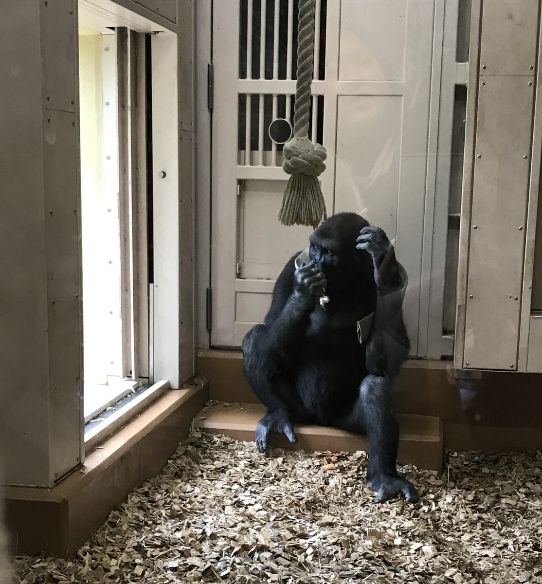 f:id:TAKETACHANNEL:20191204080303j:plain