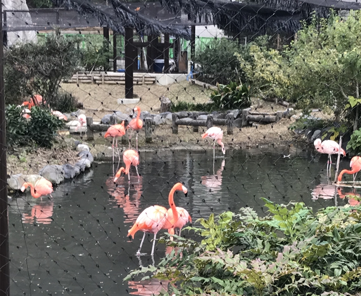 f:id:TAKETACHANNEL:20191204081028j:plain