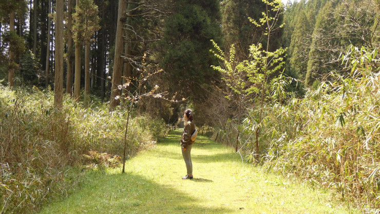 f:id:TAKETACHANNEL:20191230092458j:plain f:id:TAKETACHANNEL:20191230092458j:plain