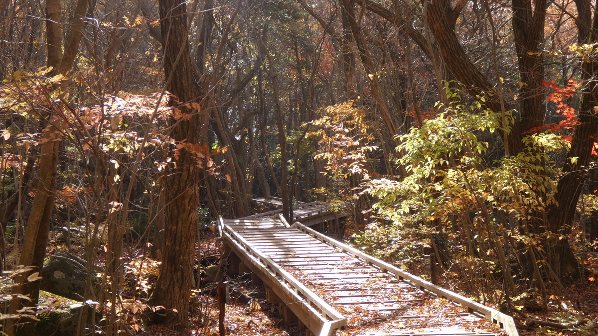 f:id:TAKETACHANNEL:20191230094512j:plain f:id:TAKETACHANNEL:20191230094512j:plain