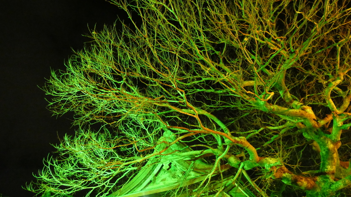 f:id:TAKETACHANNEL:20200102130153j:plain f:id:TAKETACHANNEL:20200102130153j:plain