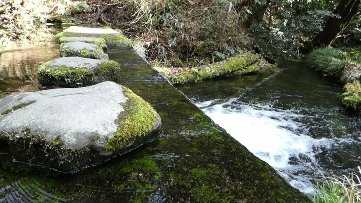 f:id:TAKETACHANNEL:20200113121536j:plain