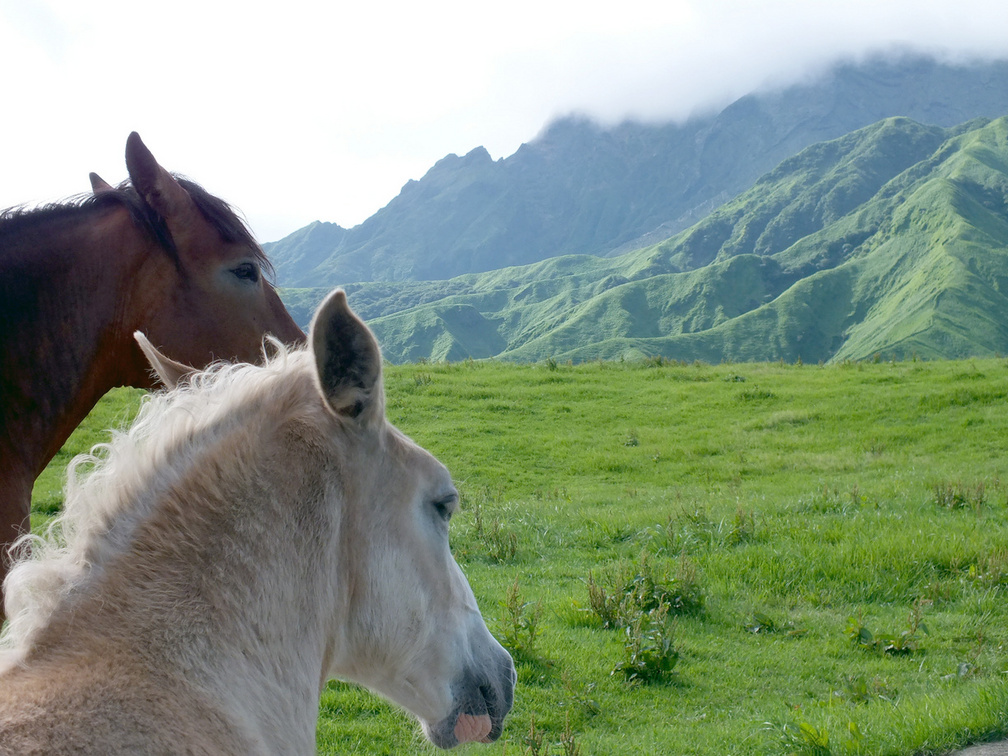 f:id:TAKETACHANNEL:20200113123435j:plain