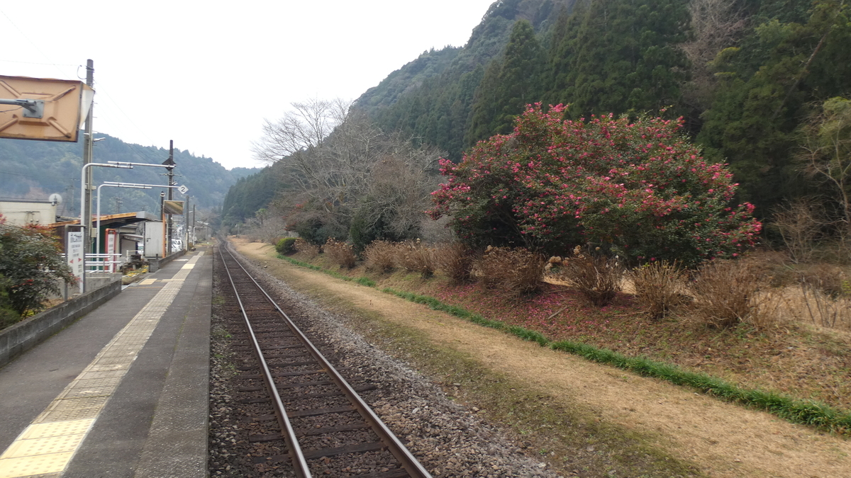 f:id:TAKETACHANNEL:20200120160440j:plain