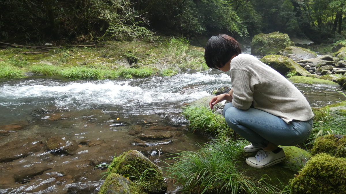 f:id:TAKETACHANNEL:20200214170643j:plain
