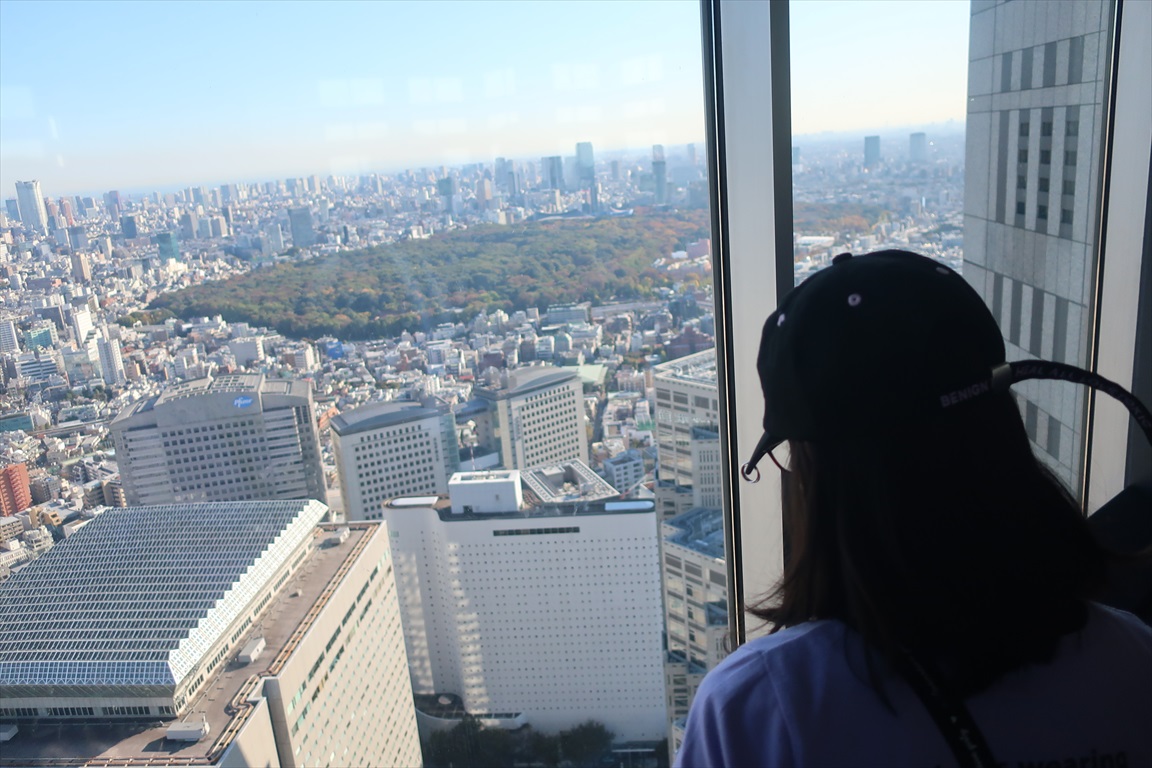 f:id:TAKEUMA04:20200507003259j:plain