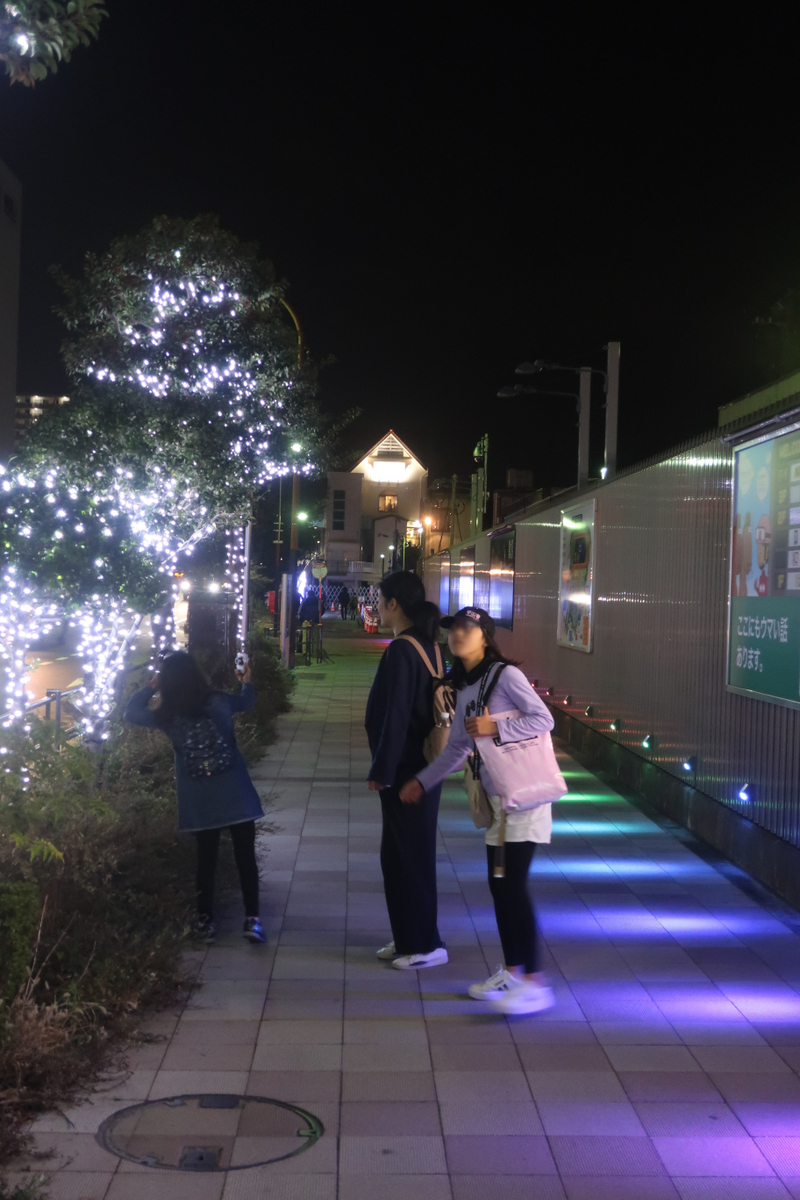 f:id:TAKEUMA04:20200508064633j:plain