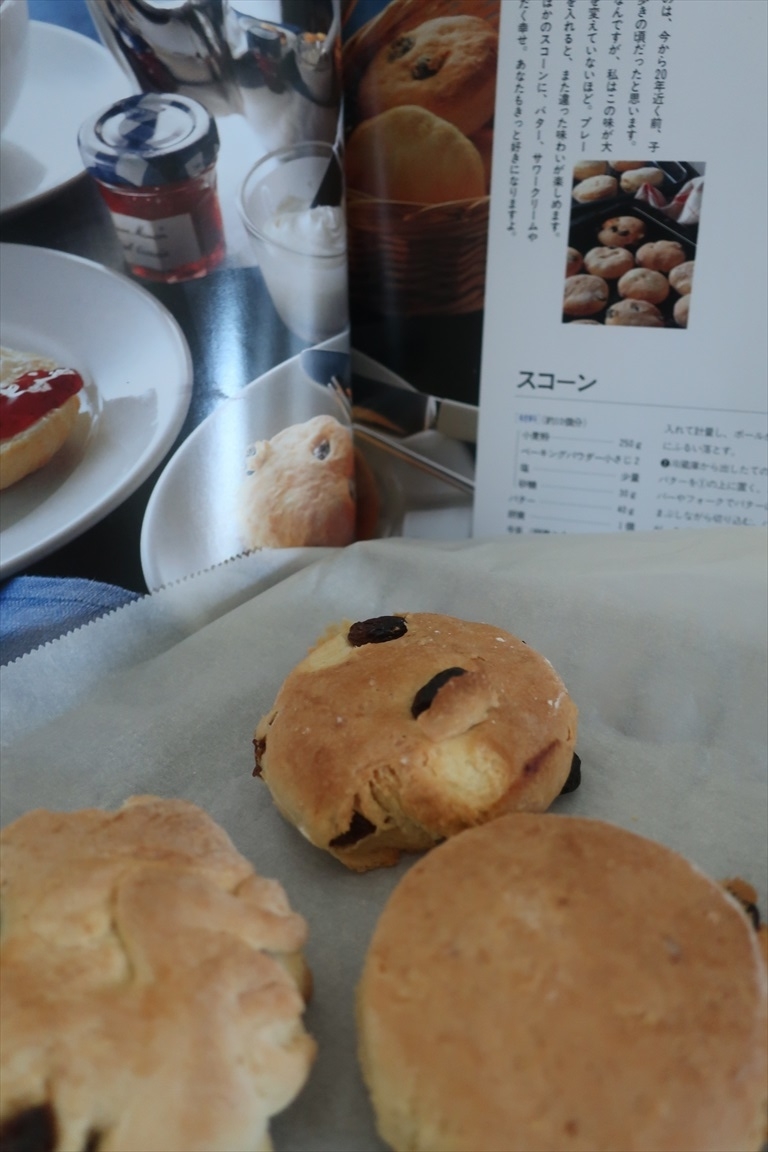 f:id:TAKEUMA04:20200517232139j:plain f:id:TAKEUMA04:20200517232139j:plain