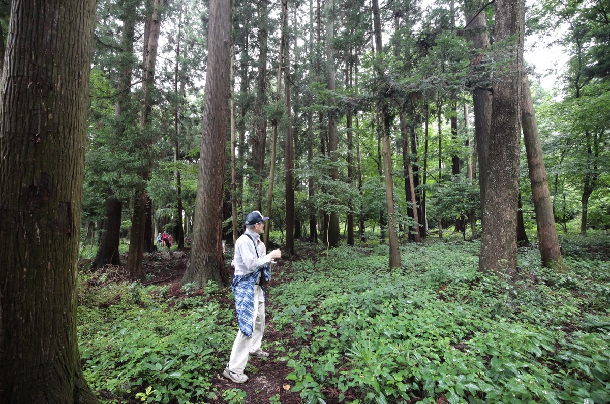 f:id:TAKEsan:20200720115413j:plain f:id:TAKEsan:20200720115413j:plain