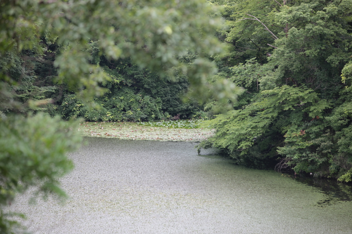 f:id:TAKEsan:20200728210128j:plain f:id:TAKEsan:20200728210128j:plain