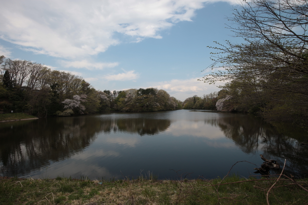 f:id:TAKEsan:20200728211349j:plain f:id:TAKEsan:20200728211349j:plain