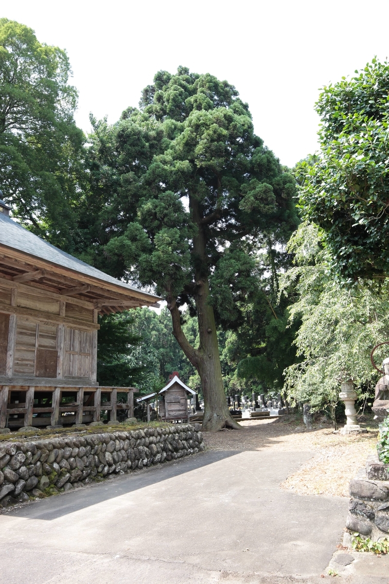 f:id:TAKEsan:20200817152334j:plain f:id:TAKEsan:20200817152334j:plain