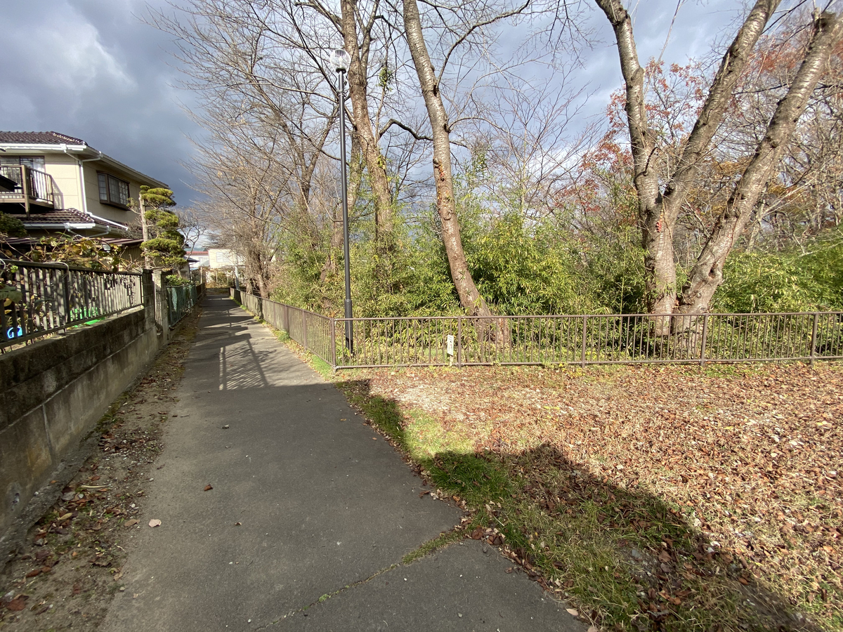 f:id:TAKEsan:20201211214142j:plain