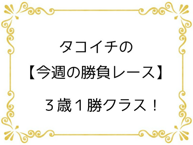 f:id:TAKOICHI:20200215082715j:image f:id:TAKOICHI:20200215082715j:image