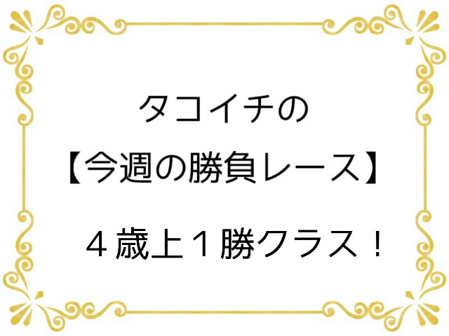 f:id:TAKOICHI:20200228231729j:image f:id:TAKOICHI:20200228231729j:image
