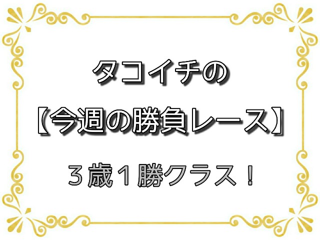 f:id:TAKOICHI:20200330014817j:image f:id:TAKOICHI:20200330014817j:image