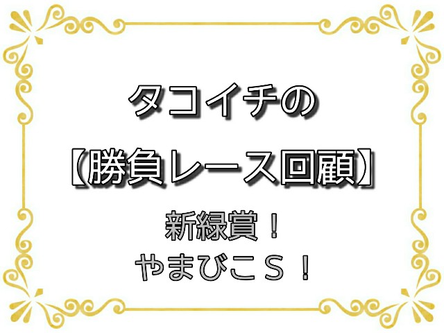 f:id:TAKOICHI:20200427130002j:image f:id:TAKOICHI:20200427130002j:image