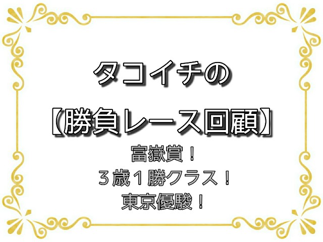 f:id:TAKOICHI:20200601073606j:image f:id:TAKOICHI:20200601073606j:image