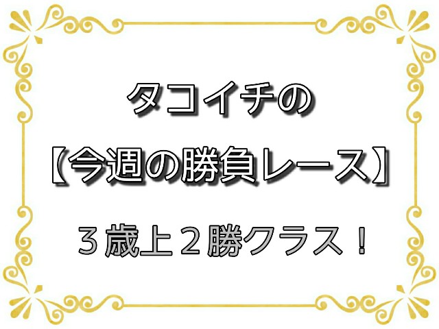 f:id:TAKOICHI:20200613094329j:image f:id:TAKOICHI:20200613094329j:image