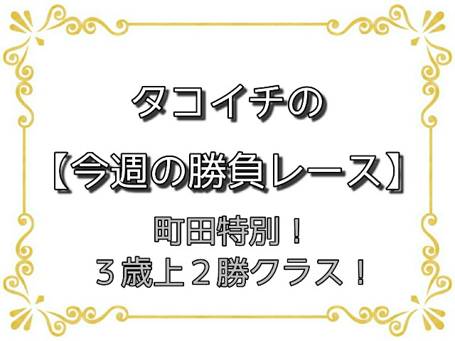 f:id:TAKOICHI:20200621172708j:image f:id:TAKOICHI:20200621172708j:image