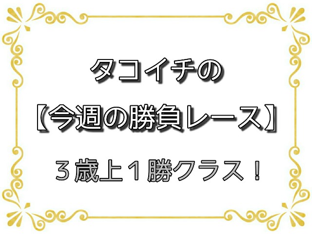 f:id:TAKOICHI:20200628090723j:image f:id:TAKOICHI:20200628090723j:image