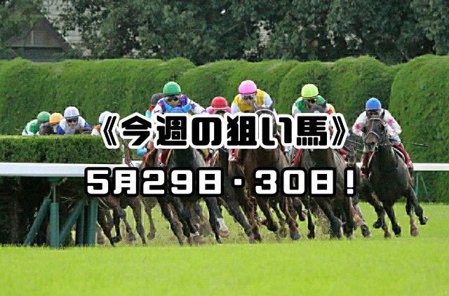 今週の狙い馬 5月29日 30日 競馬サラリーマン タコイチ