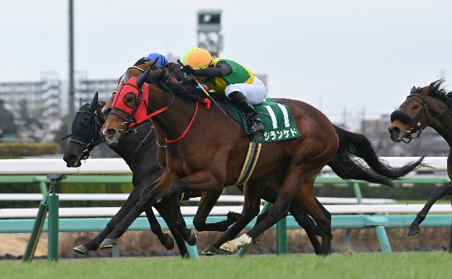 f:id:TAKOICHI:20250827162007j:image f:id:TAKOICHI:20250827162007j:image