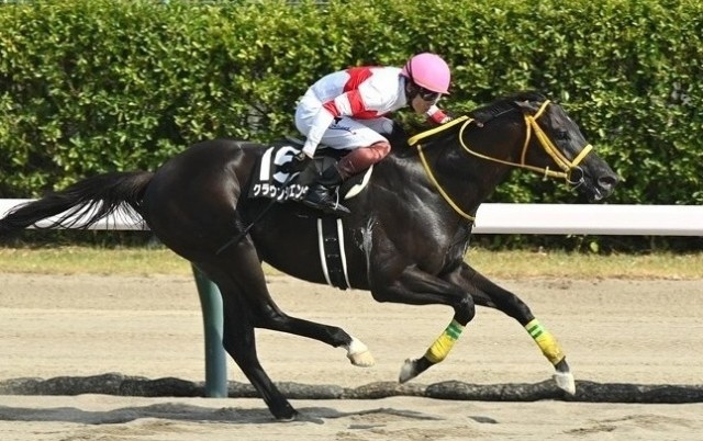 f:id:TAKOICHI:20250917112249j:image