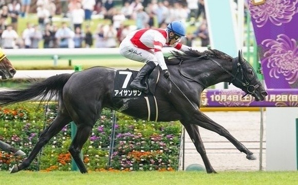 f:id:TAKOICHI:20251103230946j:image