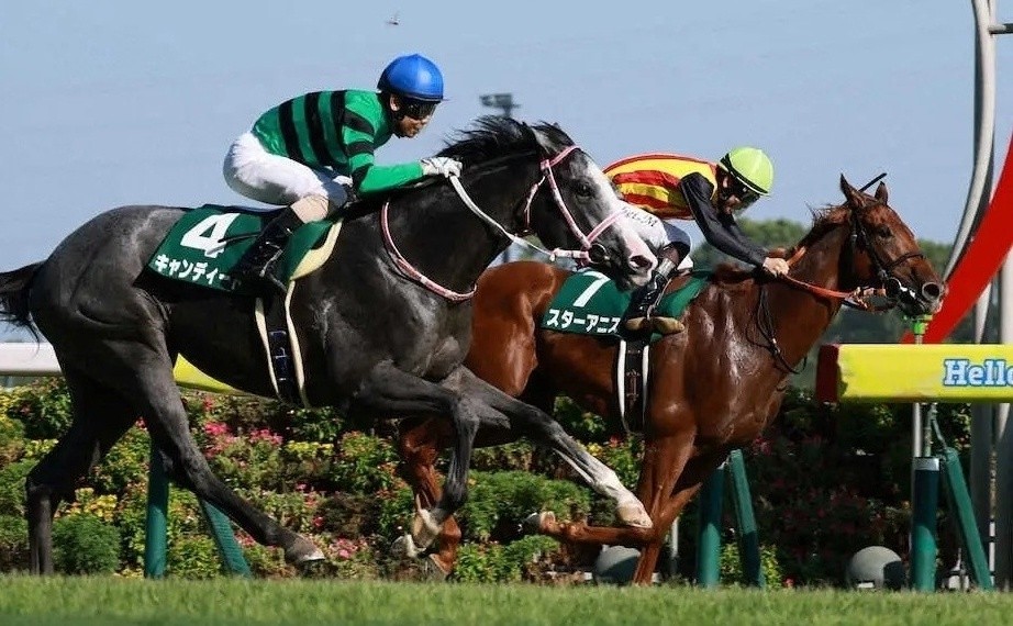f:id:TAKOICHI:20251214095719j:image