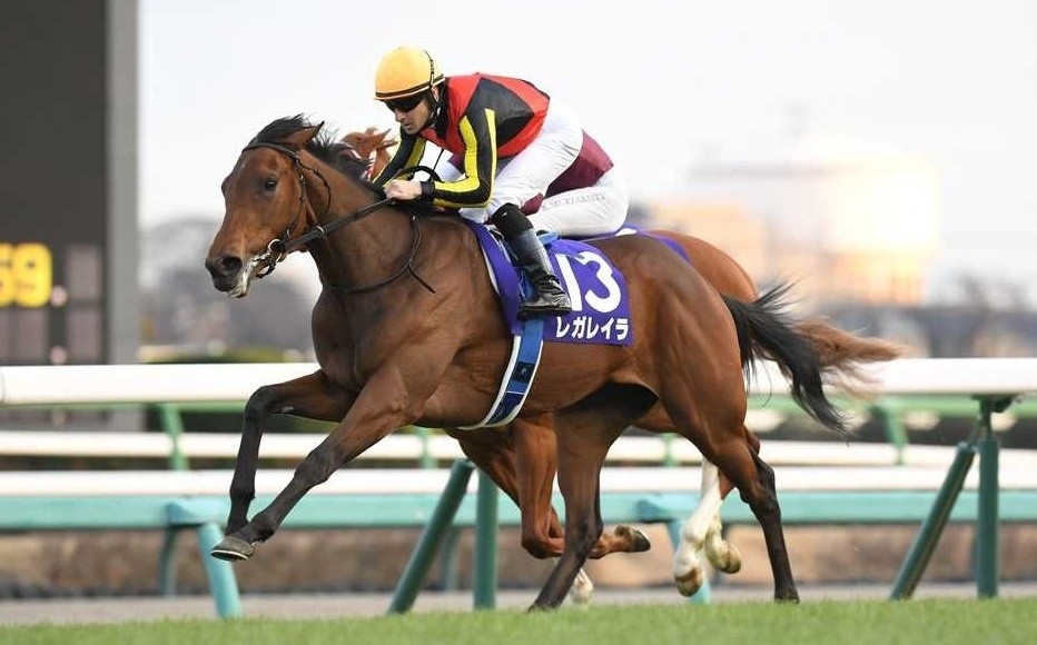 f:id:TAKOICHI:20251228004829j:image