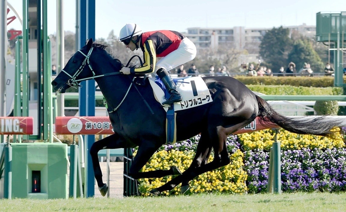 f:id:TAKOICHI:20260302173729j:image f:id:TAKOICHI:20260302173729j:image