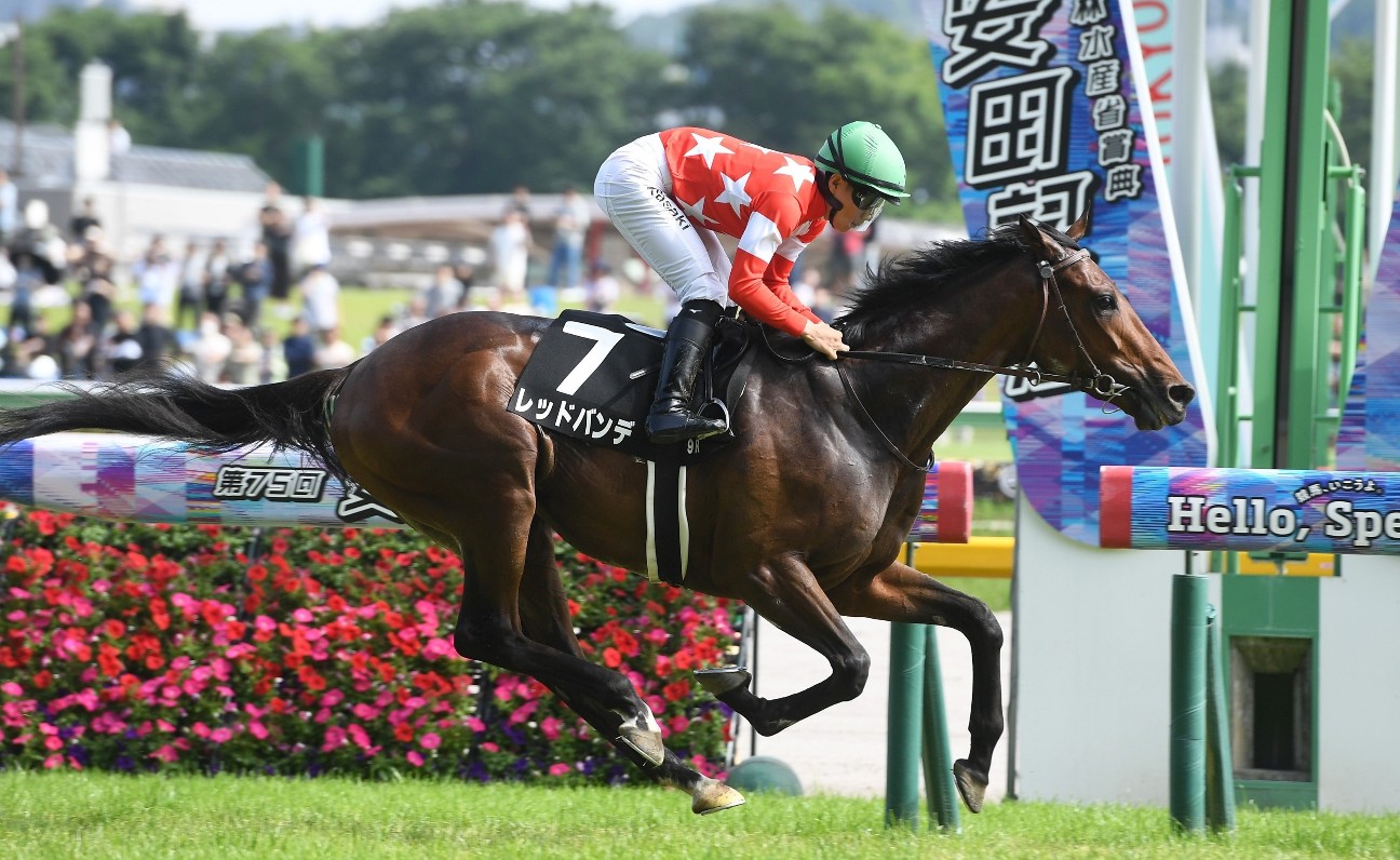 f:id:TAKOICHI:20260322091859j:image